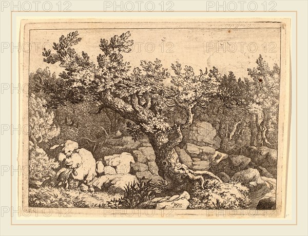 Allart van Everdingen (Dutch, 1621-1675), Sportsman near a Large Tree, probably c. 1645-1656, etching