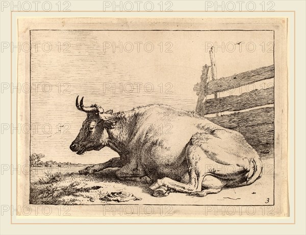 Paulus Potter (Dutch, 1625-1654), Cow Lying Down near a Fence, 1650, etching