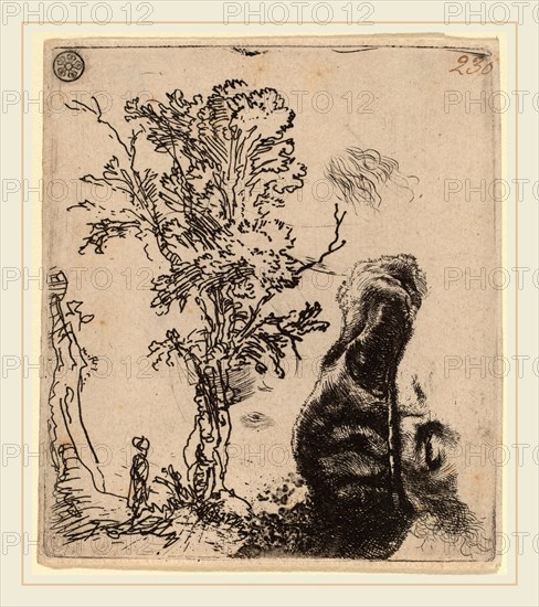 Rembrandt van Rijn (Dutch, 1606-1669), Sheet with Two Studies:  a Tree, and the Upper Part of a Head of the Artist Wearing a Velvet Cap, c. 1642, etching