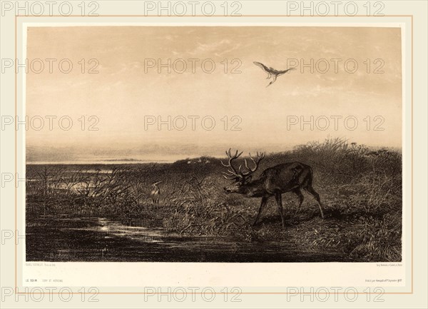 Karl Bodmer, Le Soir.  Cerf et Herons, Swiss, 1809-1893, chiaroscuro lithograph