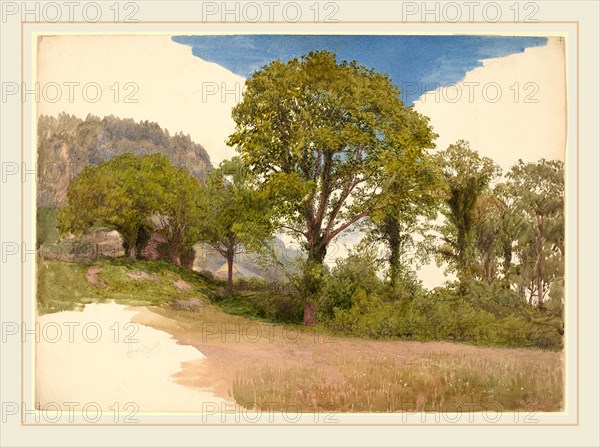 John Henry Hill, Trees Profiled against the Sky, American, 1839-1922, c. 1865, watercolor