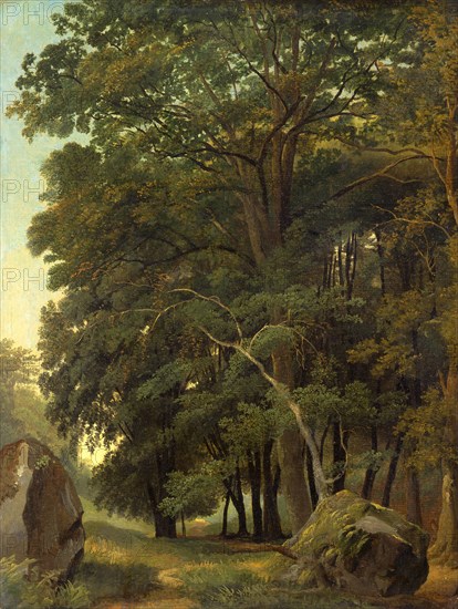 A Wooded Landscape Signed and dated, lower right: "R. R. Reinagle | 1833", Ramsay Richard Reinagle, 1775-1862, British