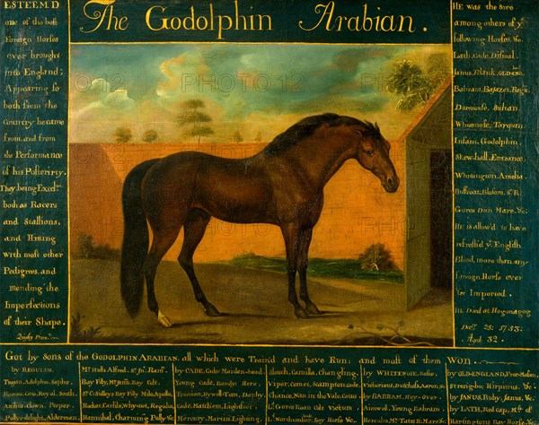 The Godolphin Arabian Signed, lower left [in artist's hand?]: "Quigley Pinx.t", Daniel Quigley, 18th century, Irish