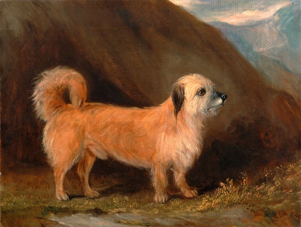 A Dandie Dinmont Terrier Signed and dated, black paint, lower right: " John Ferneley Jr. | 1848", John E. Ferneley Jr., 1815-1862, British