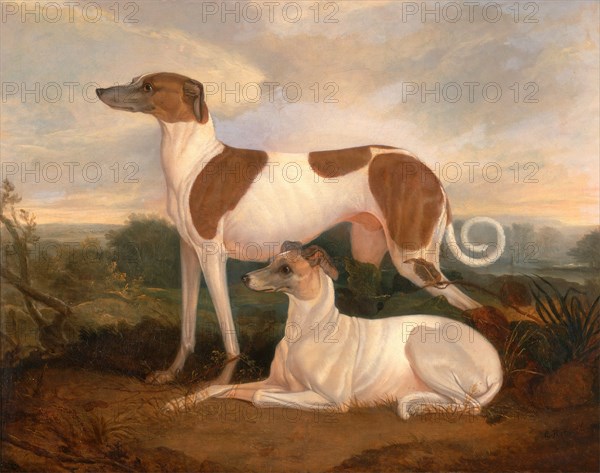 Two Greyhounds in a Landscape Signed, lower right: "C. Hancock . pinx", Charles Hancock, 1802-1877, British