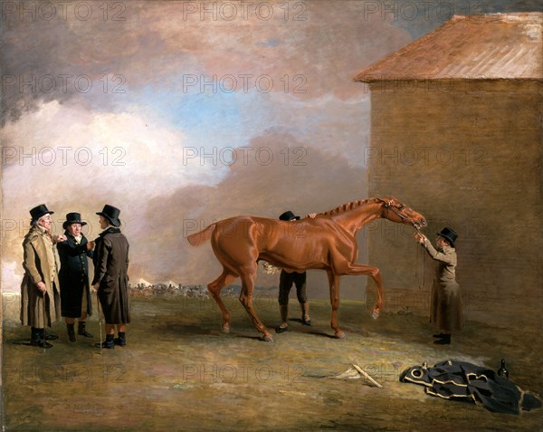 Mully Moloch Muly Moloch being rubbed down at Newmarket Muly Moloch, a chestnut colt being rubbed down on Newmarket Heath, with portraits of Trotter, Hardy, and Thompson to the left A Chestnut Colt being Rubbed Down on Newmarket Heath Signed and dated, lower left: "B. Marshall p. 1803", Benjamin Marshall, 1767-1835, British