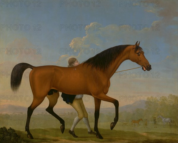 The Duke of Ancaster's Bay Stallion, Blank, Walking Towards a Mare King Herod, a bay stallion, with a stable boy in an open landscape..., William Shaw, active 1758-1772, British
