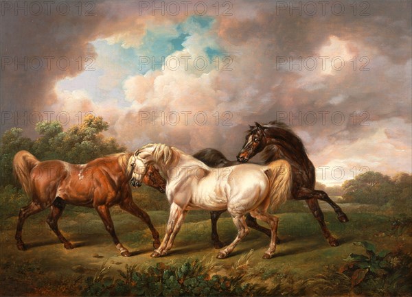 Three Horses in a Stormy Landscape Two Stallions and a Mare in a Stormy Landscape Signed and dated, black paint, lower left: "Chas Towne | 1836", Charles Towne, 1763-1840, British