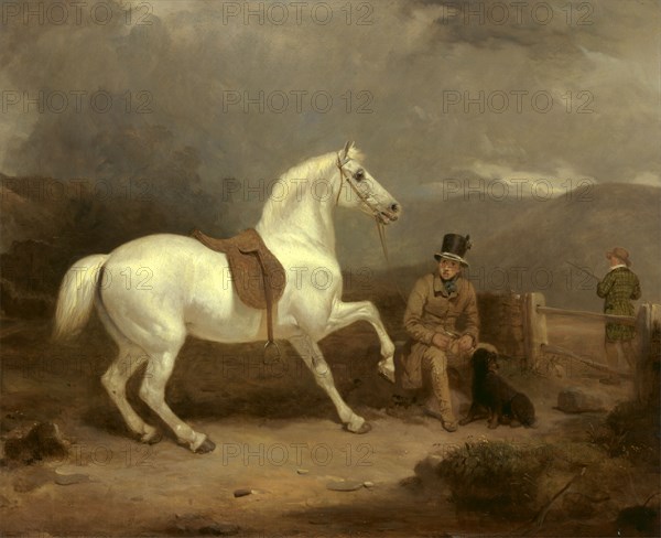 Grey Shooting Pony, Probably the Property of Johnston King, with a Groom ? Mr. Johnston King's Grey Shooting Pony Waiting with a Groom on a Scottish Moor Signed and dated, brown paint, lower left: "TW | 1835", Thomas Woodward, 1801-1852, British