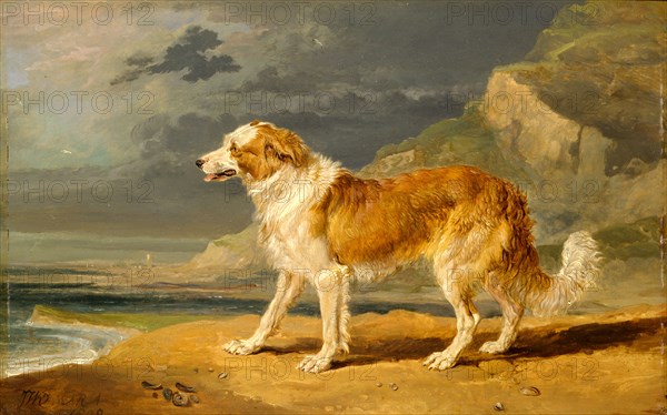 Rough-Coated Collie Signed in brown paint, lower left: "J WARD[monogram].ARA", James Ward, 1769-1859, British