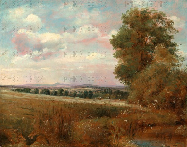 Landscape at Hampstead, with Harrow in the Distance Looking over to Harrow, Lionel Constable, 1828-1887, British