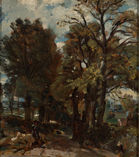 Fen Lane, East Bergholt Sketch of a Lane at East Bergholt, John Constable, 1776-1837, British