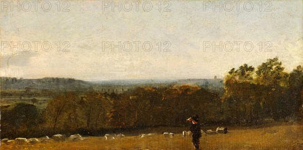 A Shepherd in a Landscape looking across Dedham Vale towards Langham, John Constable, 1776-1837, British