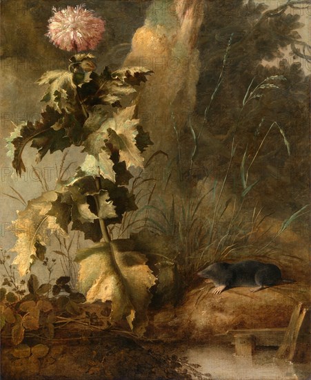 An Egyptian Poppy and a Water Mole A Thistle and Water Vole, Attributed to John Crome, 1768-1821, British