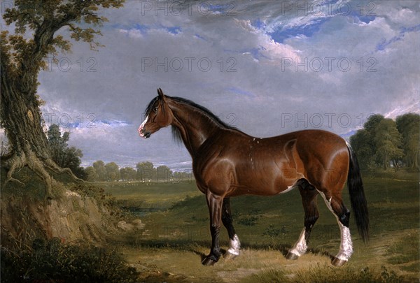 A Clydesdale Stallion Signed and dated, lower left: "JF Herring | 1820", John Frederick Herring, 1795-1865, British