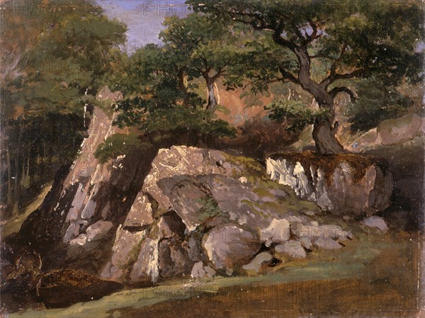 A View of the Valley of Rocks near Mittlach (Alsace), James Arthur O'Connor, 1792-1841, Irish