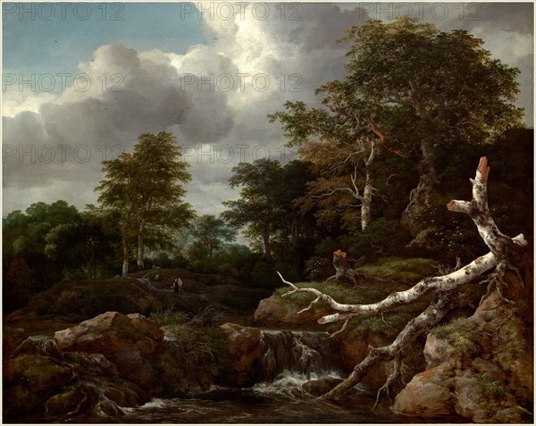 Jacob van Ruisdael, Dutch (c. 1628-1629-1682), Forest Scene, c. 1655, oil on canvas