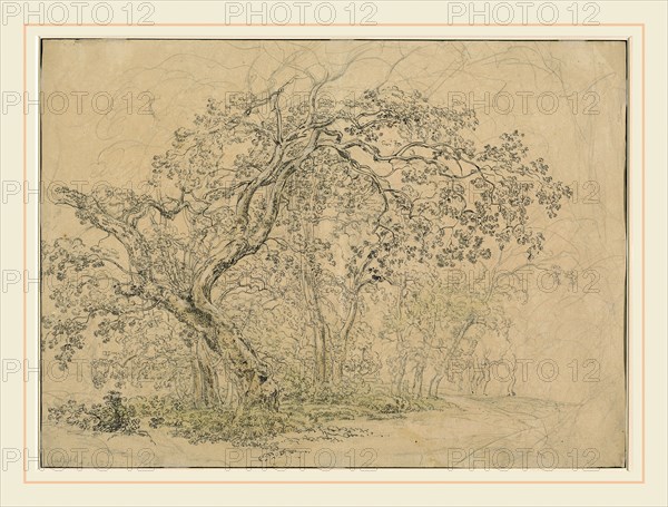 Friedrich Salathé, Swiss (1793-1858), Grove of Trees [verso], c. 1835, pen and black ink over graphite on wove paper