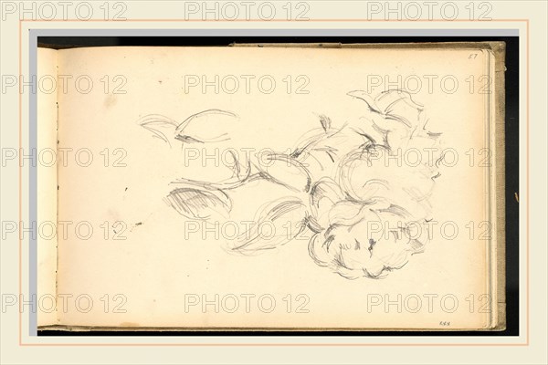 Paul Cézanne, Peonies, French, 1839-1906, 1890-1893, graphite on wove paper