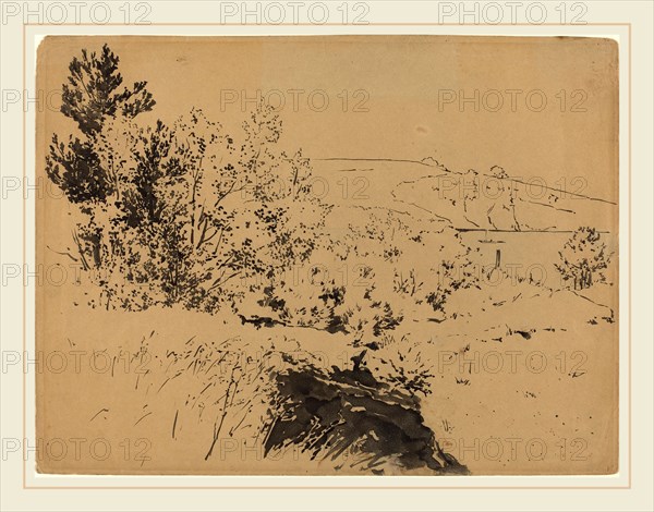 Félix Bracquemond, Coastal Landscape, French, 1833-1914, brush and black ink with (faded) blue wash on brown wove paper