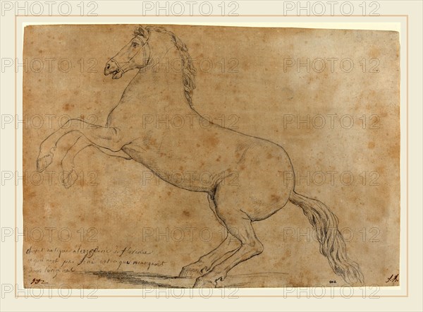 Jacques-Louis David, French (1748-1825), An Antique Sculpture of a Horse, 1780, graphite on laid paper