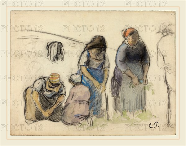 Pissarro, La cueillette des pois