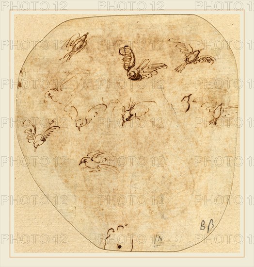 Attributed to Girolamo Mazzola Bedoli, Italian (c. 1500-1569), Birds in Flight [verso], pen and brown ink on laid paper