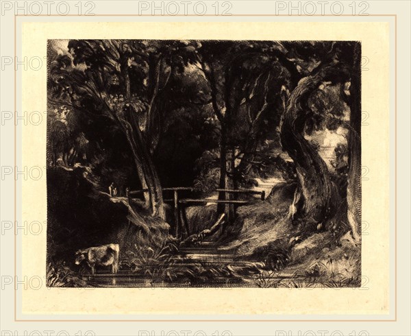 David Lucas after John Constable, British (1802-1881), A Dell, Helmingham Park, Suffolk, 1830, mezzotint [progress proof]