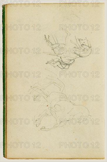 Two studies of a rearing horse