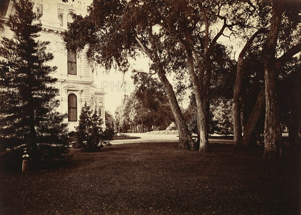 [Thurlow Lodge - Lawn and House. From Barron Cluster.]