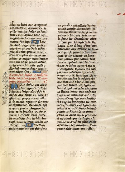 Decorated Text Page