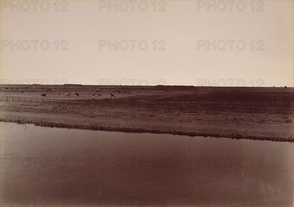 View on the Calloway Canal, Near Poso Creek, Kern County