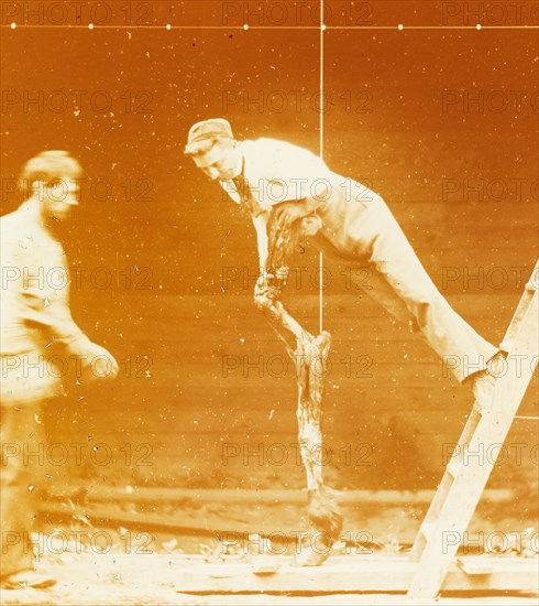 [Study of Muscular Action: Young Man Leaning on a Horse's Leg]