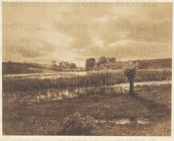 [The Ponds at Optevoz, RhÃ´ne]