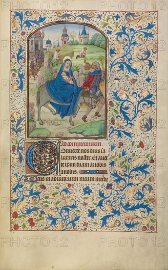 The Flight into Egypt