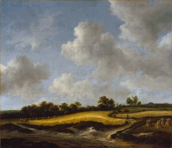 Landscape with a Wheatfield