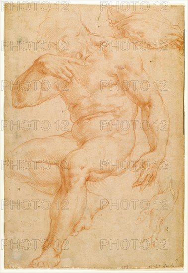 Studies of a Male Nude, a Drapery, and a Hand