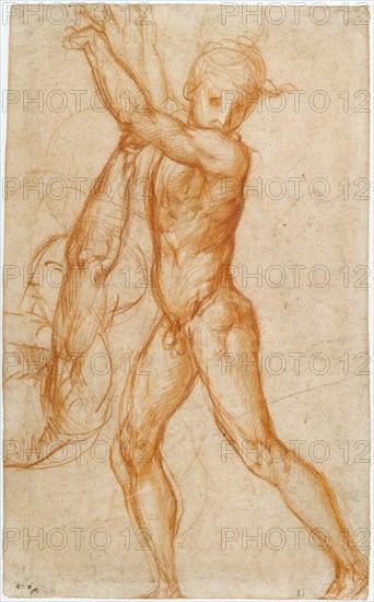 Study of a Nude Boy, Partial Figure Study (recto),  Study of a S