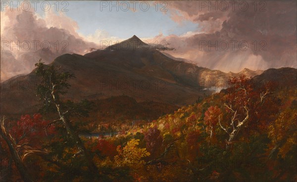 View of Schroon Mountain, Essex County, New York, After a Storm, 1838. Thomas Cole (American, 1801-1848). Oil on canvas; framed: 132.5 x 193.5 x 13 cm (52 3/16 x 76 3/16 x 5 1/8 in.); unframed: 99.8 x 160.6 cm (39 5/16 x 63 1/4 in.).