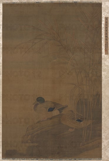 Ducks under Reeds, 1400s. China, Ming dynasty (1368-1644). Hanging scroll, ink and color on silk; overall: 122.5 x 79.4 cm (48 1/4 x 31 1/4 in.).