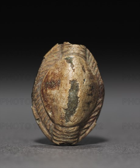 Cowroid, 1450-1350 BC. Egypt, New Kingdom, mid-Dynasty 18 (1540-1296 BC). Glazed steatite; overall: 1.2 cm (1/2 in.).