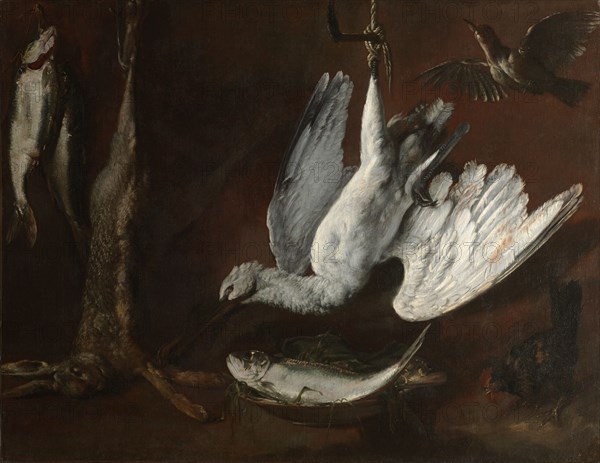 Hare, Spoonbill, and Fish, mid-1600s. Italy, possibly Genoa, 17th century. Oil on canvas; framed: 128.5 x 159 x 8 cm (50 9/16 x 62 5/8 x 3 1/8 in.); unframed: 99.5 x 128.5 cm (39 3/16 x 50 9/16 in.).