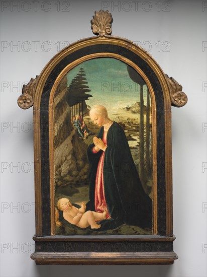 Madonna and Child with Tobias and the Angel Raphael, c. 1470. Francesco Botticini (Italian, c. 1446-1497). Tempera on poplar panel; framed: 121.3 x 80.7 x 10.2 cm (47 3/4 x 31 3/4 x 4 in.); panel: 96.7 x 59 cm (38 1/16 x 23 1/4 in.).