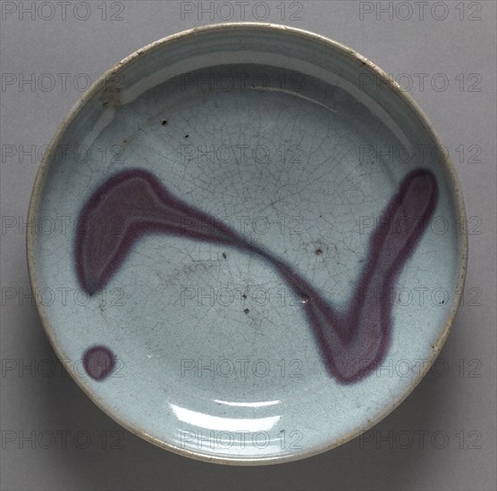 Plate: Jun Ware, 1279-1368. Northern China, Yuan dynasty (1271-1368). Stoneware with mottled glaze; diameter: 20.7 cm (8 1/8 in.); overall: 9.3 cm (3 11/16 in.).