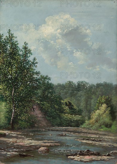 Landscape near Painesville. Allen Smith (American, 1810-1891). Oil on canvas; unframed: 47 x 31 cm (18 1/2 x 12 3/16 in.).