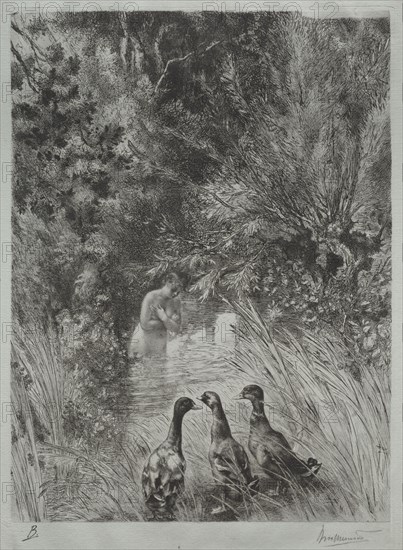 The Surprised Ducks. Félix Bracquemond (French, 1833-1914). Etching; sheet: 44.4 x 29 cm (17 1/2 x 11 7/16 in.); platemark: 37.6 x 26.7 cm (14 13/16 x 10 1/2 in.).