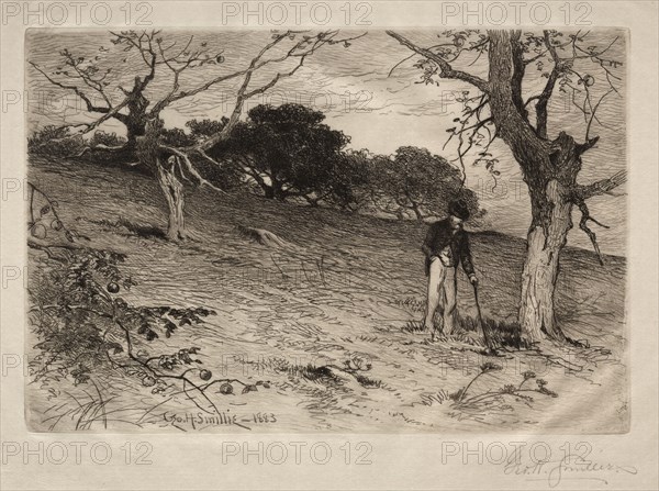 An Old New England Orchard, 1883. George Henry Smillie (American, 1840-1921). Etching