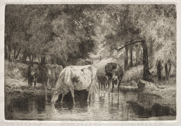 The Pool. Peter Moran (American, 1841-1914). Etching