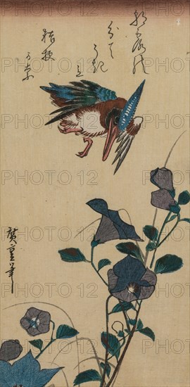 Kingfisher and Chinese Bellflowers, early or mid-1830s. Ando Hiroshige (Japanese, 1797-1858). Color woodblock print; overall: 25.2 x 12.4 cm (9 15/16 x 4 7/8 in.).