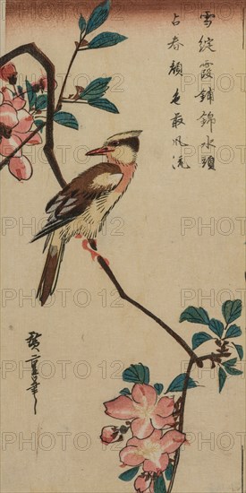 Korean Nightingale on Cherry Branch, early or mid 1830s. Ando Hiroshige (Japanese, 1797-1858). Color woodblock print; overall: 25.3 x 12.8 cm (9 15/16 x 5 1/16 in.).